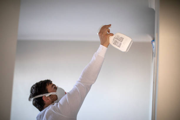 Best Mold Testing and Removal  in Salem, IL